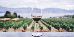 Bereits vor rund 8.000 Jahren begann die Geschichte des Weins und seiner Trauben. Seitdem ist Wein nicht nur ein Getränk, sondern ein wichtiger Teil der menschlichen Kulturgeschichte.